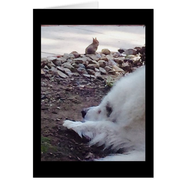 Cartão de aceitação (Frente)