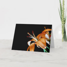 Cartão De Agradecimento 4464-Fechamento das Moscas Laranja