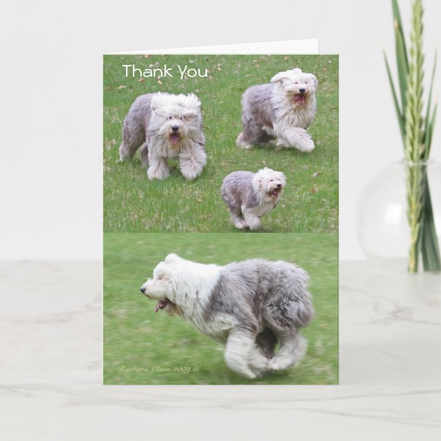 Cartão De Agradecimento A alegria é o formulário o mais simples da (Frente)