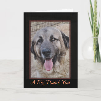 Cartão De Agradecimento A Big Thank You-customize