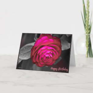 Cartão De Agradecimento A Camélia Rosa Feliz Aniversário