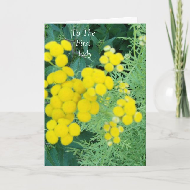 Cartão De Agradecimento À Primeira-Dama (Frente)