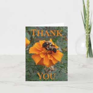Cartão De Agradecimento Abejas en Flor de Marigold