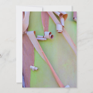 Cartão De Agradecimento Abstrato de Latido de Árvore Madrone