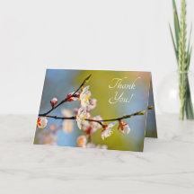 Admirable Japanese Apricot Flower