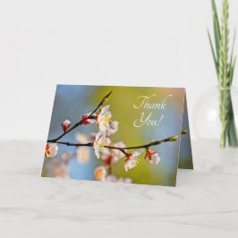 Cartão De Agradecimento Admirable Japanese Apricot Flower