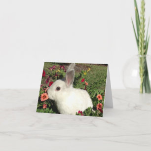 Cartão De Agradecimento Adorable Rabbit Note Card