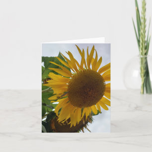 Cartão De Agradecimento Adoração, lealdade - Uma flor feliz. Pr