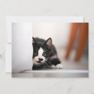 Cartão De Agradecimento Adoráveis Animais Bebês Gatinho Preto e Branco