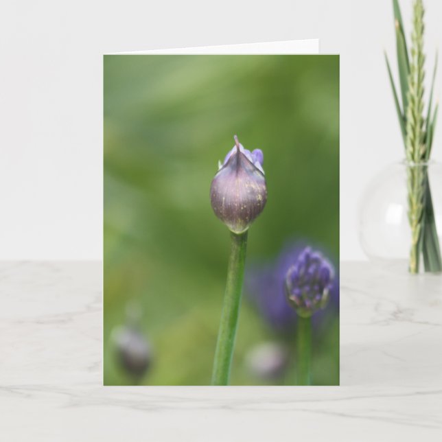 Cartão De Agradecimento African Lily card (Frente)