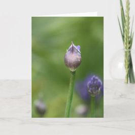 Cartão De Agradecimento African Lily card