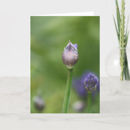 Cartão De Agradecimento African Lily card