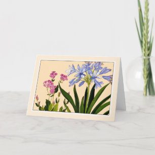 Cartão De Agradecimento Agaranthus & Catchfly Botanical Art Card