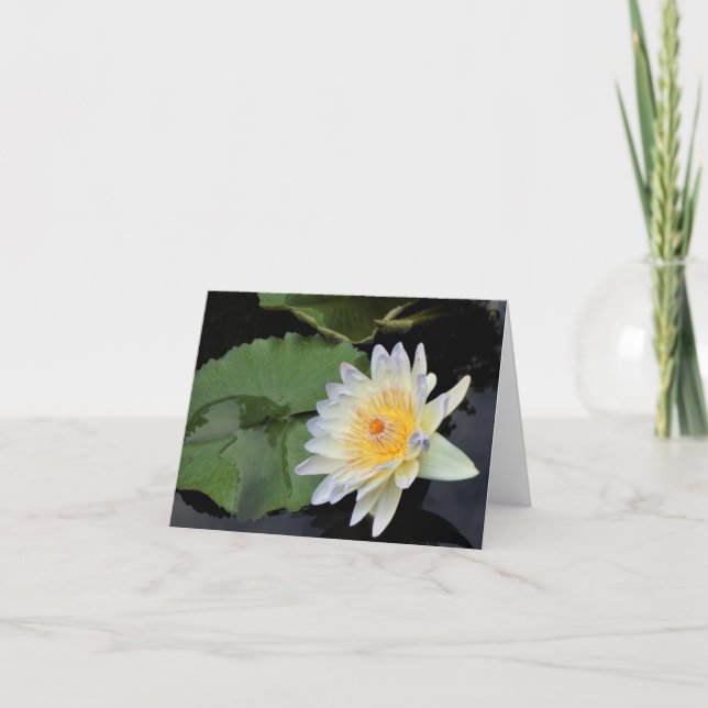 Cartão De Agradecimento Água Lily (Frente)