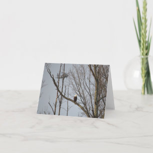 Cartão De Agradecimento Águia americana e Blackhawk Notecard - vazio para