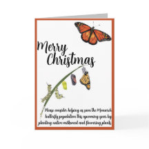 Ajude a salvar a borboleta Monarca