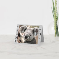 Algumas ocasiões, Koala Bear_