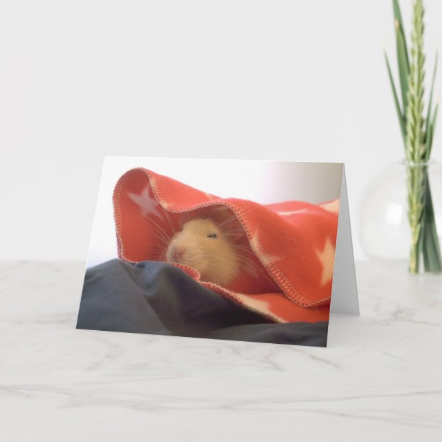 Cartão De Agradecimento All American Rat (Frente)