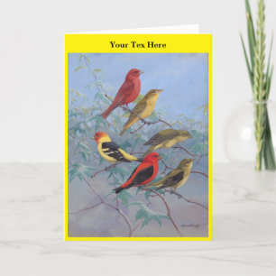 Cartão De Agradecimento Allan Brooks Birds no3