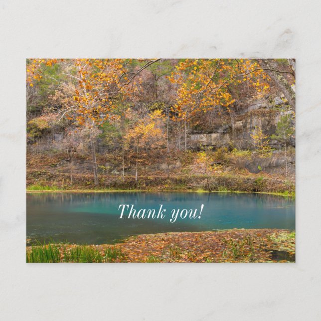 Cartão de agradecimento Alley Spring View (Frente)