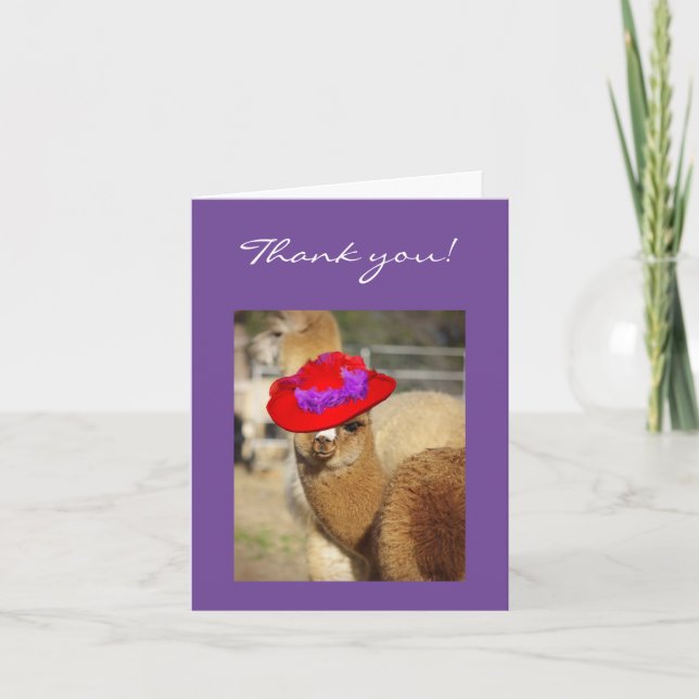 Cartão De Agradecimento Alpaca Thank You Cards (Frente)