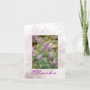 Cartão De Agradecimento Alpine Flowers Greeting Card