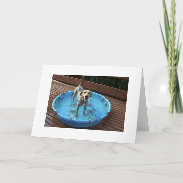 Cartão De Agradecimento Am I Beautiful or What? (Frente)