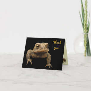 Cartão De Agradecimento American Toad Thank You