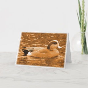 Cartão De Agradecimento American Wigeon Obrigado por ajudar