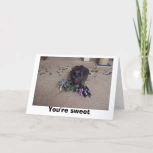 Cartão De Agradecimento Amigo doce