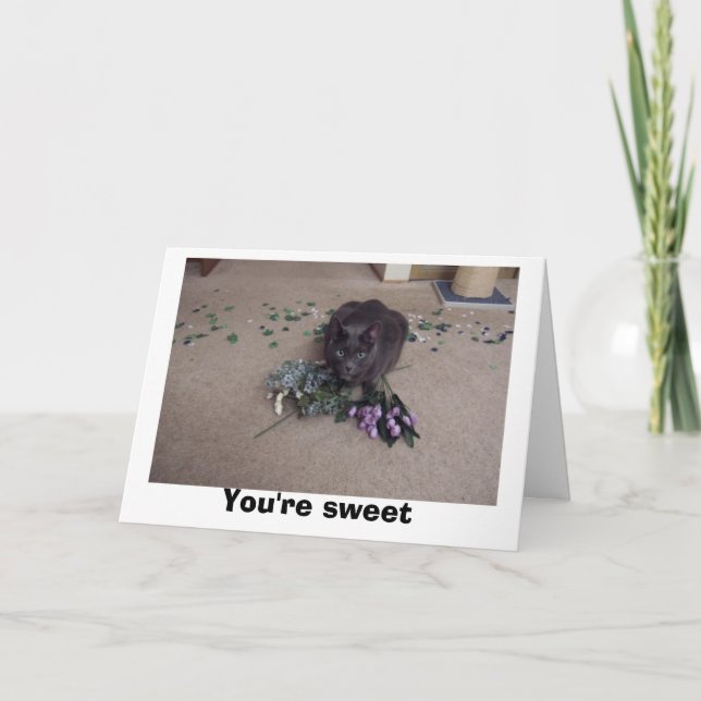 Cartão De Agradecimento Amigo doce (Frente)