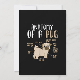Cartão De Agradecimento Anatomia De Cachorro Cachorro Cachorro Cachorro Ca