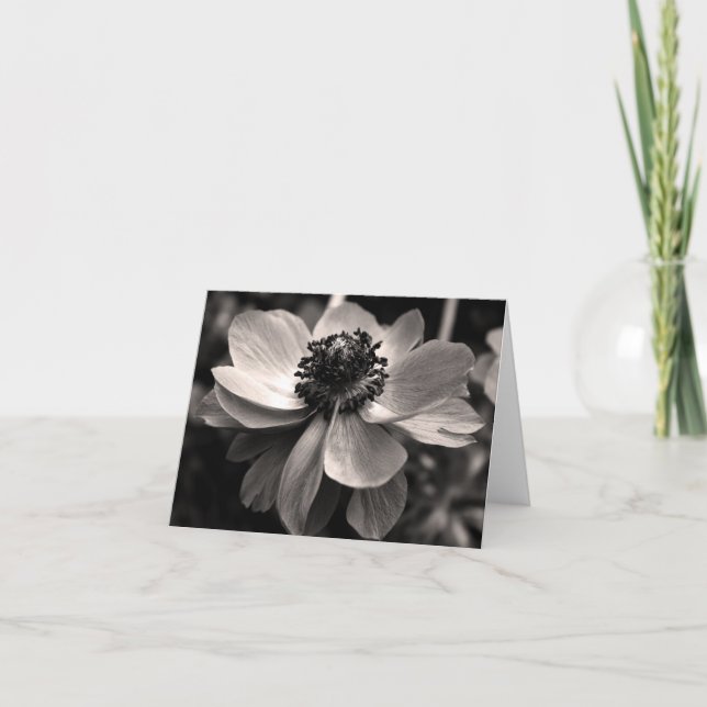 Cartão De Agradecimento Anemone Floral Photo Sympathy Thank You Note Card (Frente)