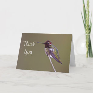 Cartão De Agradecimento Anna's Hummingbird Thank you