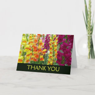 Cartão De Agradecimento Antirrinos Florais Coloridos