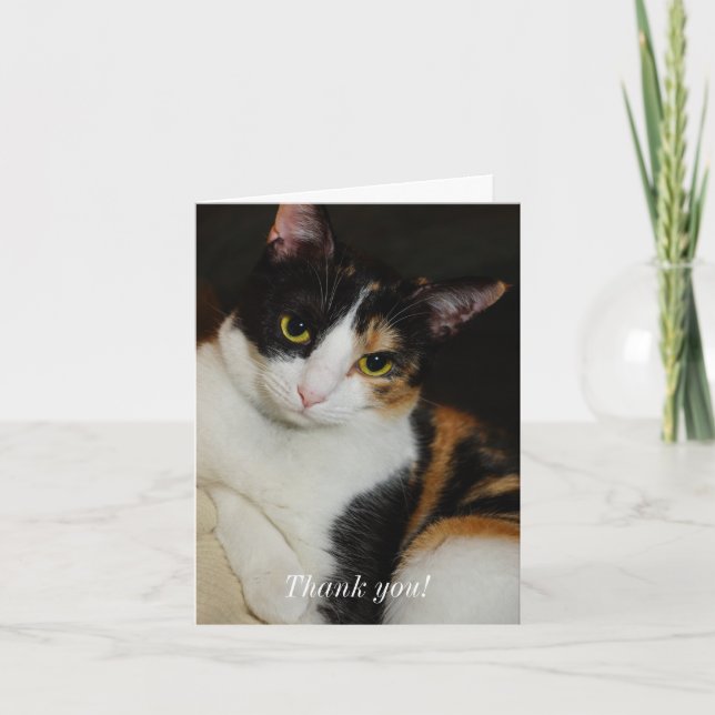 Cartão De Agradecimento Apenas Andando Por Aí (Frente)