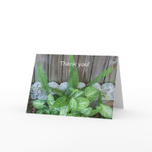 Arranjo natural de caládio e samambaias