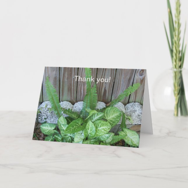 Cartão De Agradecimento Arranjo natural de caládio e samambaias (Frente)