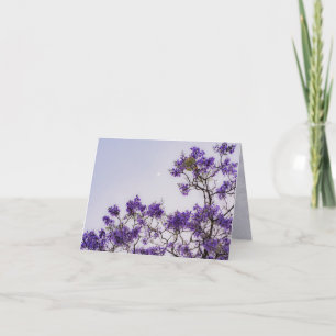 Cartão De Agradecimento Árvore Jacaranda Roxa com Lua, estética de primave