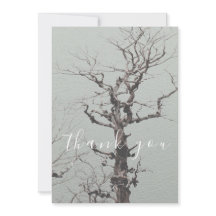 Árvore Weathersted Blue Lake Flat Obrigado