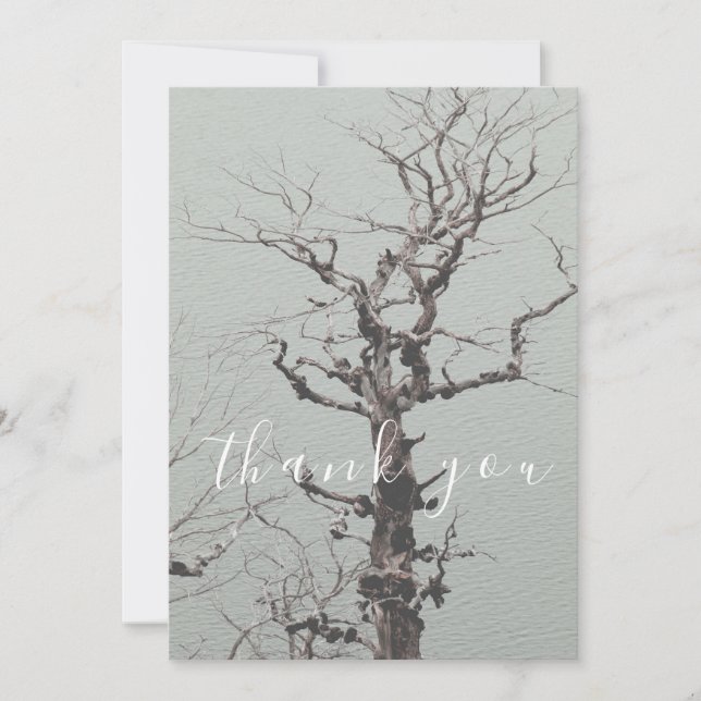 Cartão De Agradecimento Árvore Weathersted Blue Lake Flat Obrigado (Frente)