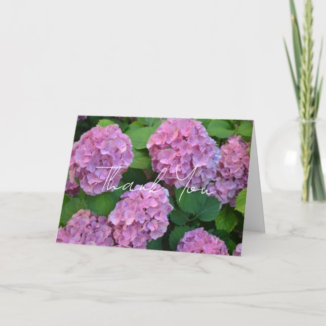 Cartão De Agradecimento As flores de Hortênsia rosa (Frente)