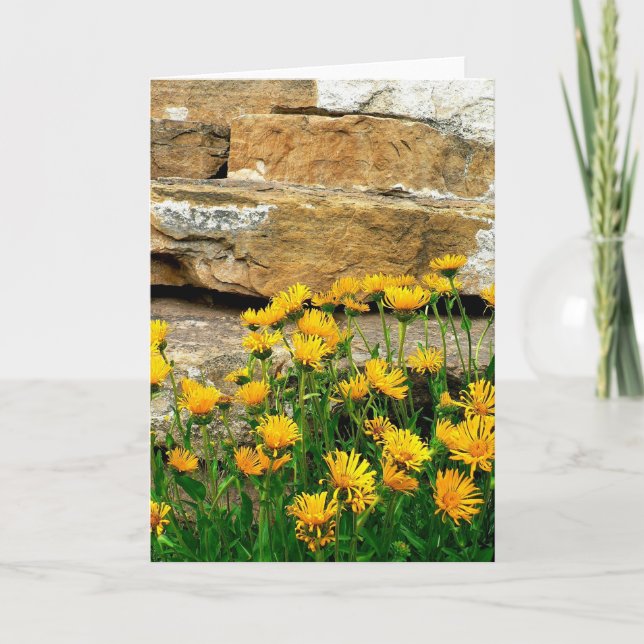 Cartão De Agradecimento Astras Amarelas (Frente)