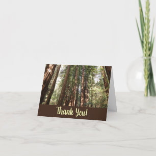 Cartão De Agradecimento Até Redwoods II no Monumento Nacional Muir Woods