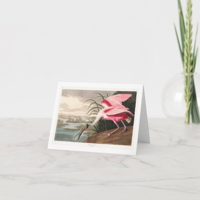 Cartão De Agradecimento Audubon Birds of America (Frente)