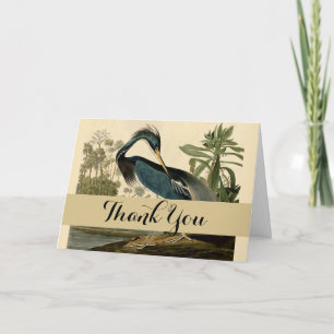 Cartão De Agradecimento Audubon Louisiana Heron