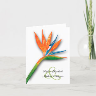 Cartão De Agradecimento Ave Aquarela do Paraíso