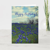 Azulinhos Flores Azuis Texas Aniversário Floral Th
