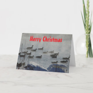 Cartão De Agradecimento B 49 Canada Geese on Foggy River Christmas Card