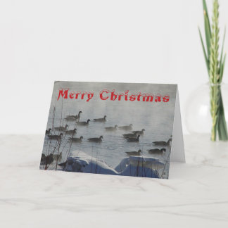 Cartão De Agradecimento B 49 Canada Geese on Foggy River Christmas Card